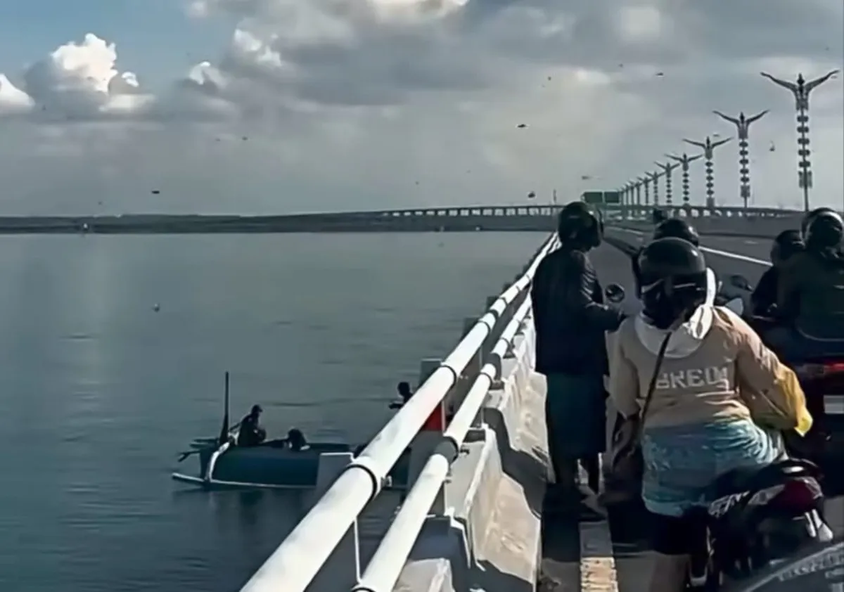 Ribuan Lebah Serbu Tol Bali Mandara Akibat Perubahan Musim