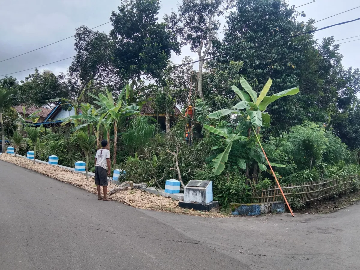 TNI dan PLN Bersinergi Bersihkan Jalur Jaringan Listrik di Kecamatan Punung