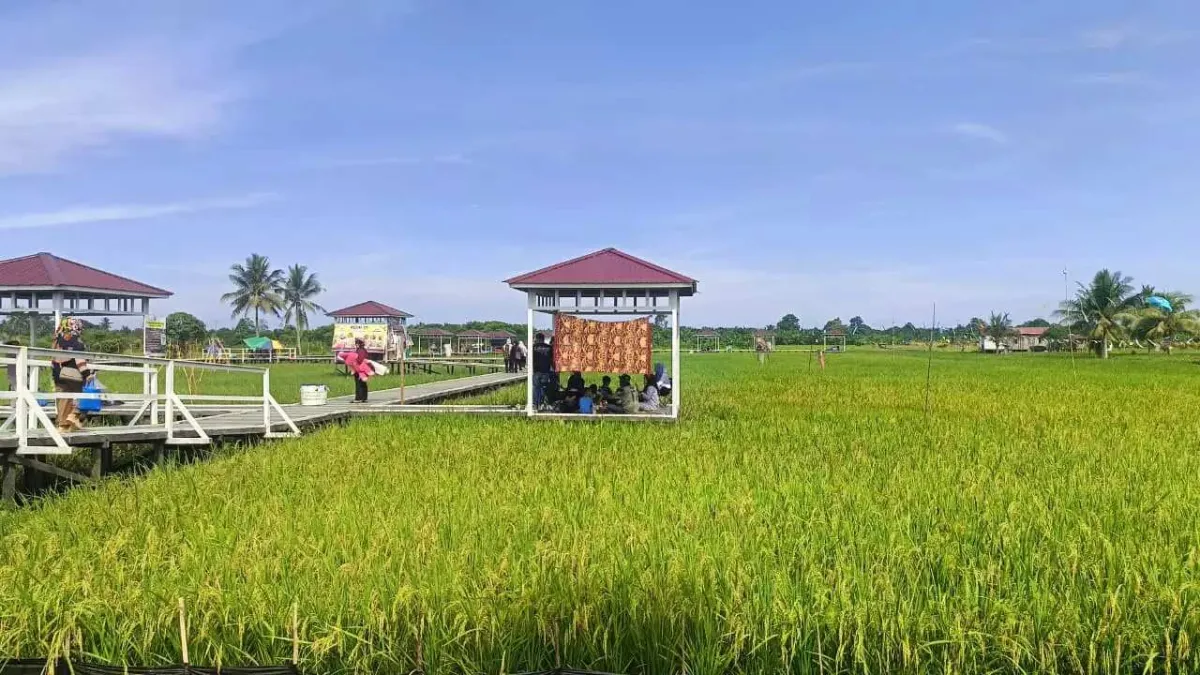 Target Tiga Kali Lipat pada Produktivitas Sawah Kaltim