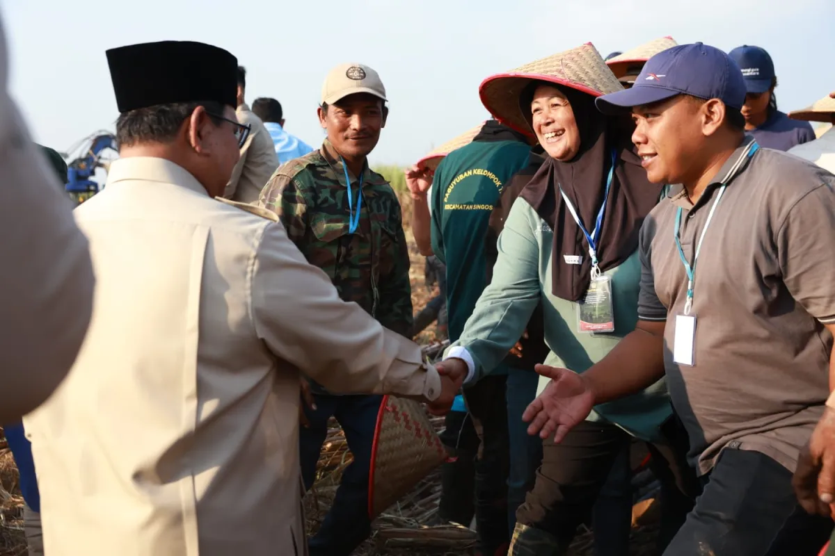 Buruh Tani Lansia Menunggu Prabowo, Titip Harapan untuk Petani Makmur