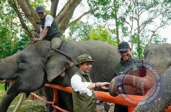 FKGI Dukung Kebijakan Raja Juli Antoni untuk Lindungi Koridor Gajah