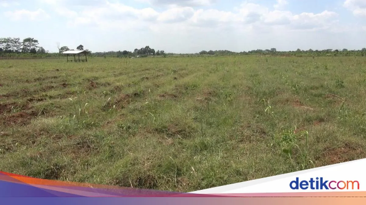 Semarang Menjadi Pilihan Utama Investor untuk Lahan Industri