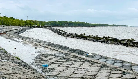 Kebutuhan Mendesak untuk Memodernisasi Infrastruktur Irigasi di Ca Mau