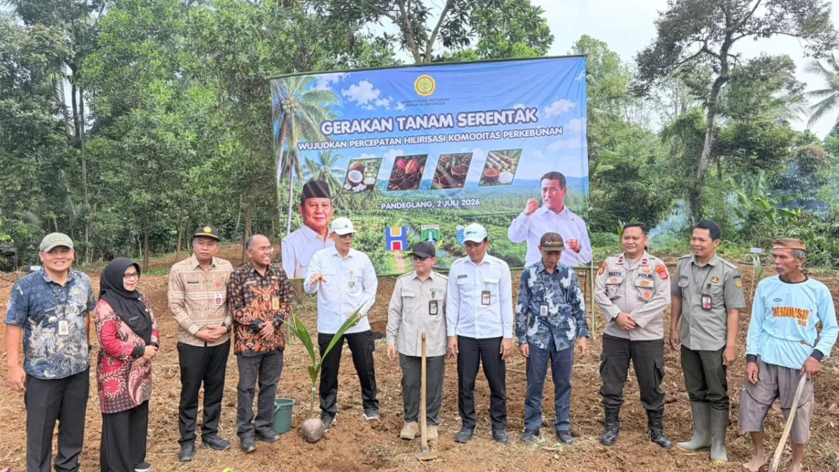 Gerakan Tanam Serentak Kelapa Tingkatkan Produktivitas Perkebunan