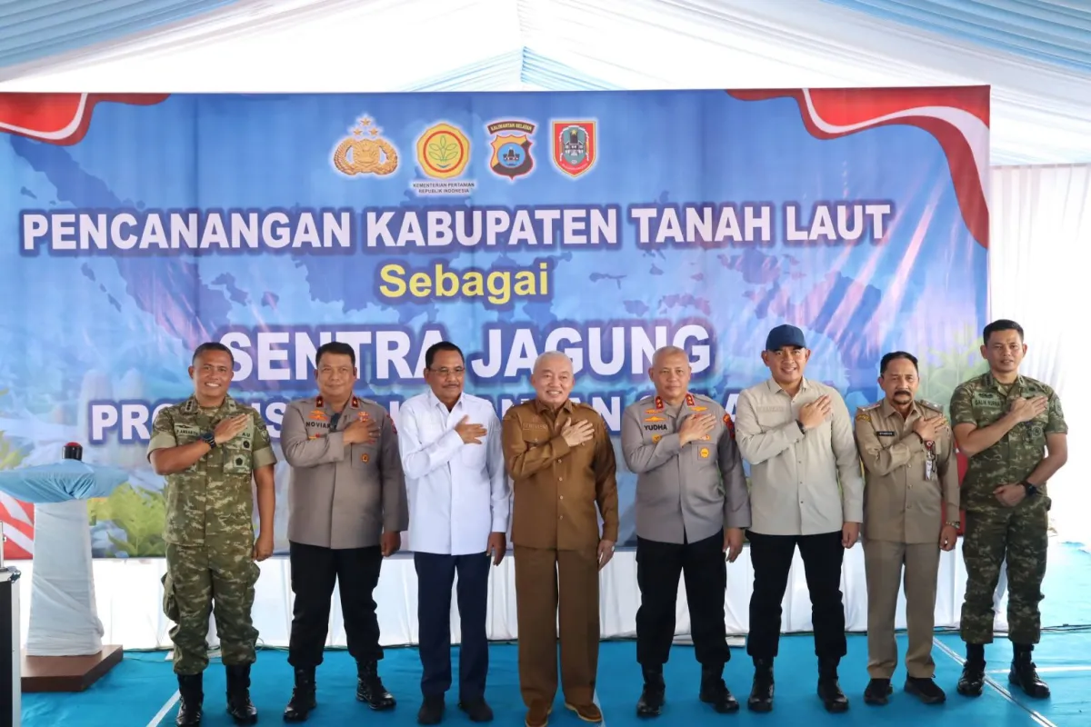 Tanah Laut Dicanangkan Sebagai Sentra Produksi Jagung Kalsel