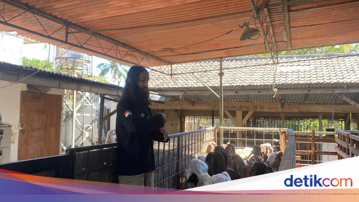 Keseharian Pedagang Kambing Kota Batu Viral Karena Mirip Yesus