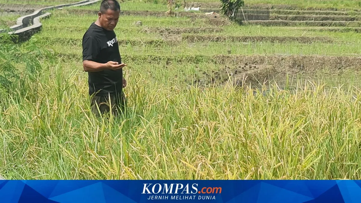 Dampak Operasional PT Sarulla Terhadap Masyarakat Sekitar