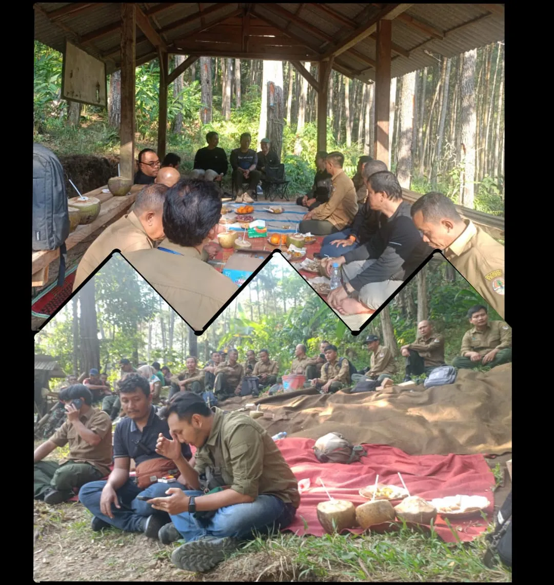 Direktur Operasi Perhutani Tinjau Aktivitas Produksi Getah Pinus di KPH Banyumas Barat