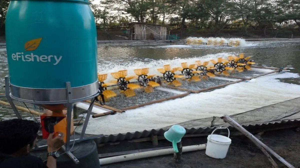 Skandal eFishery: Penipuan Besar yang Mengguncang Ekosistem Startup