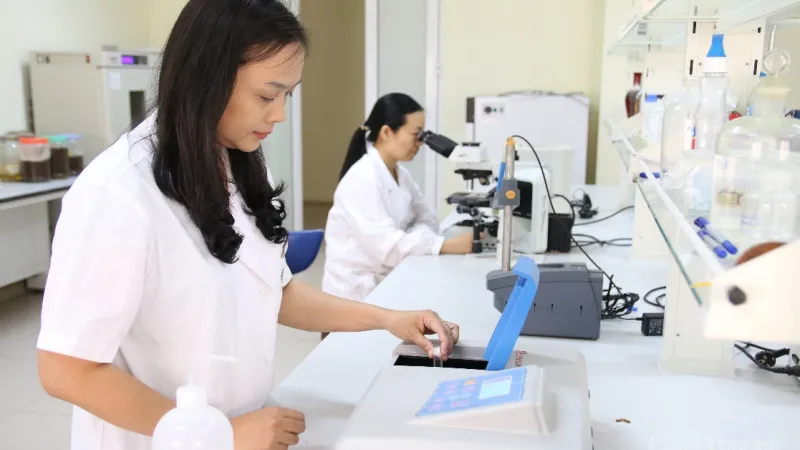 Pemerintah Berikan Dukungan 100% untuk Pengembangan Teknologi Strategis