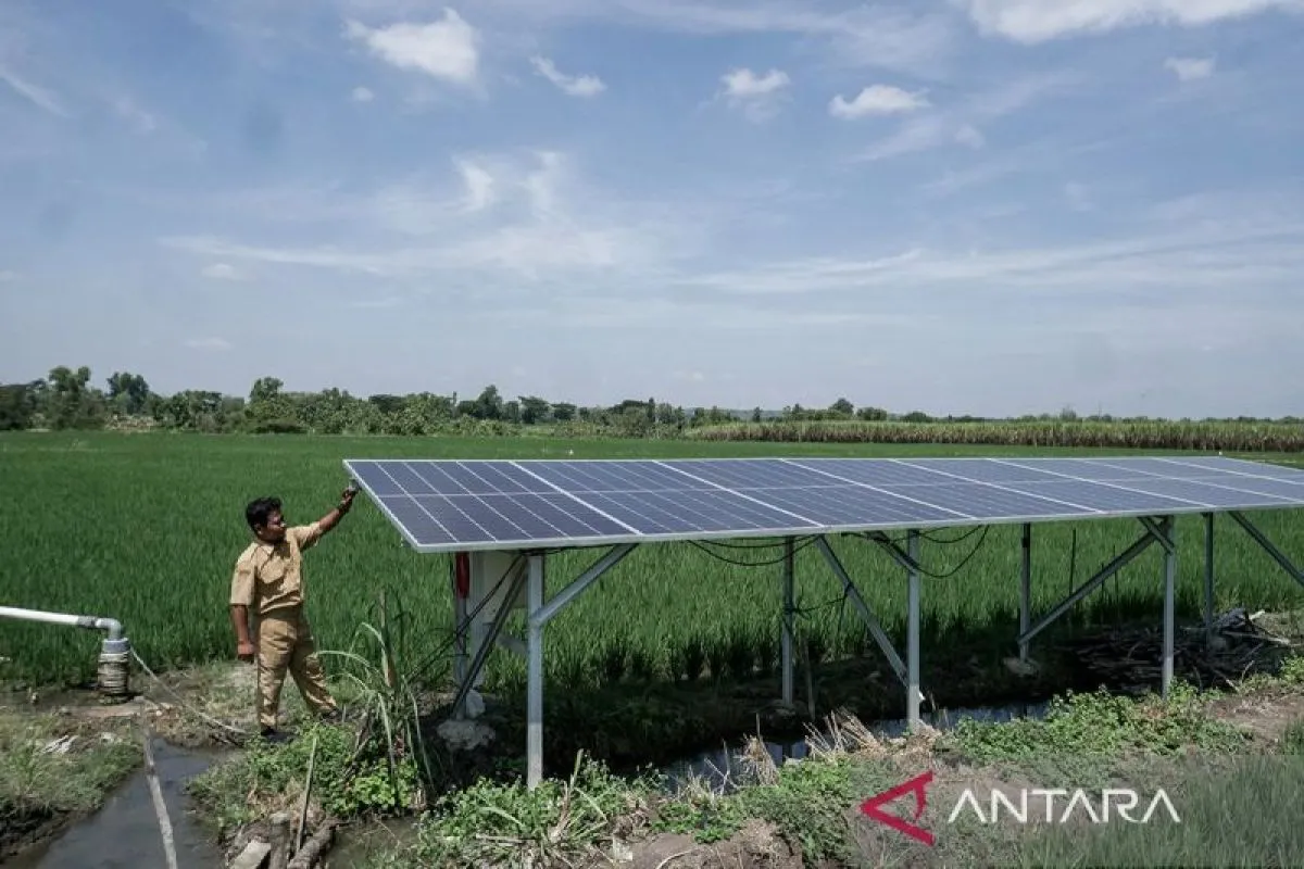 Dampak El Niño Terhadap Stabilitas Ekonomi dan Produksi Pangan Nasional