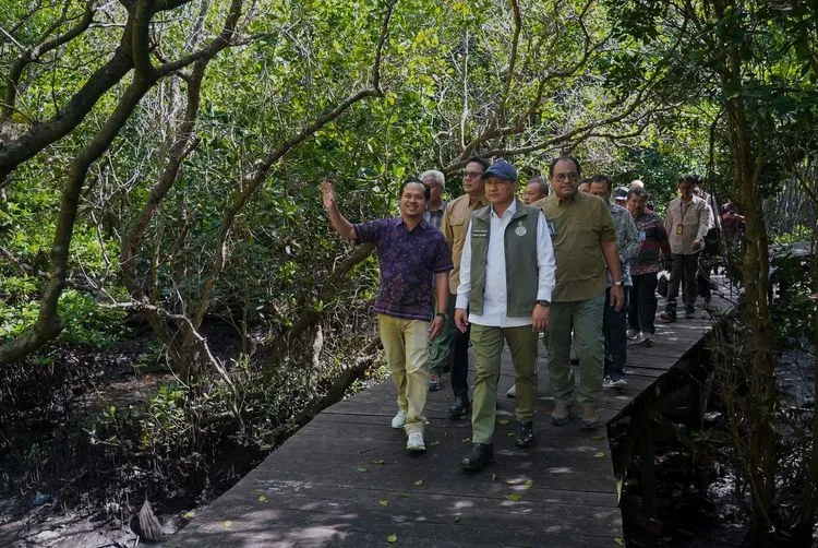Wamenhut Tinjau Mangrove Bali untuk Pengembangan Perhutanan Sosial