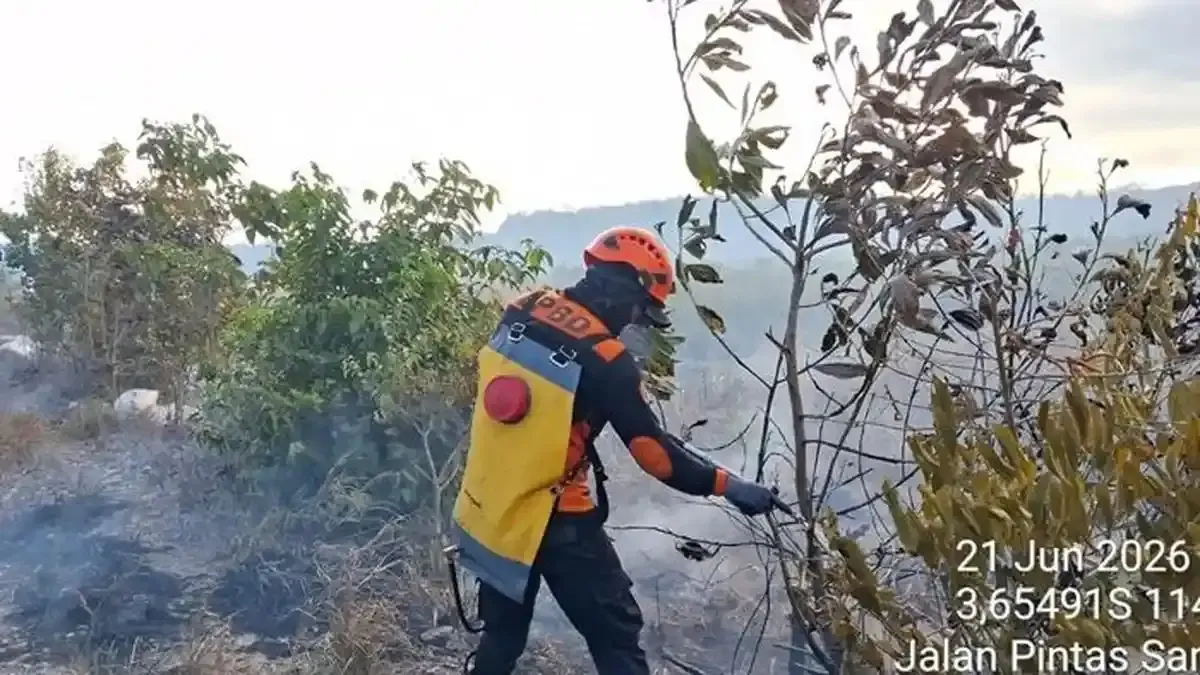 Kebakaran Lahan Terjadi di Tanah Laut Akibat Musim Kemarau