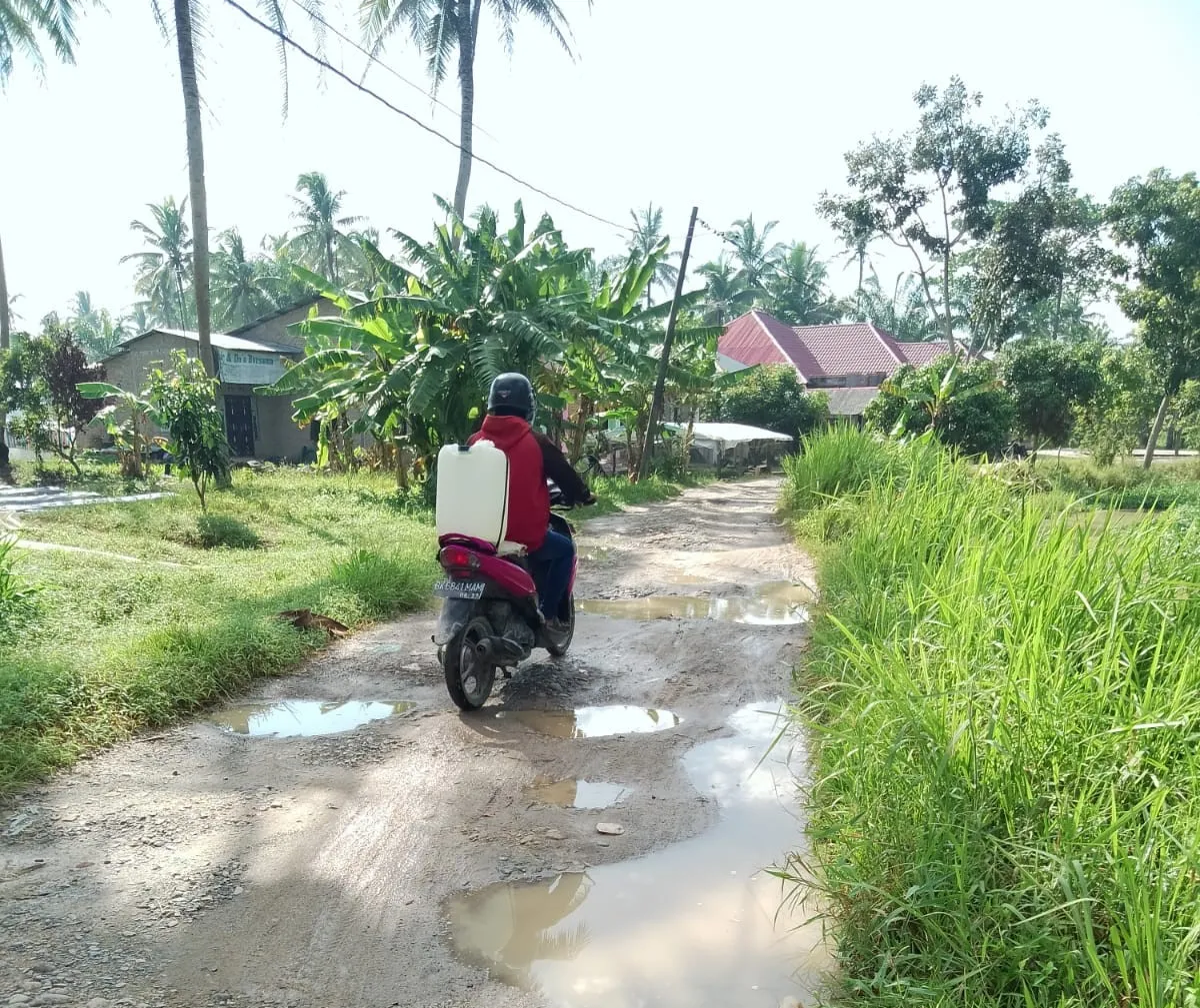 Perbaikan Infrastruktur Jalan Pertanian dan Irigasi Diperlukan untuk Mendukung Petani