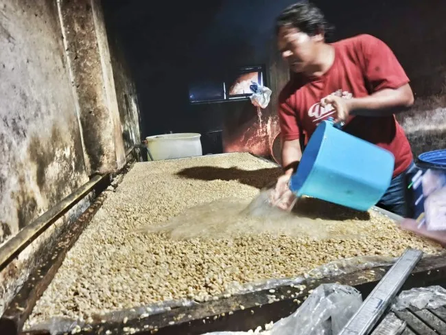 Kenaikan Harga Kedelai Impor Tekan Produksi Tempe di Desa Beji Kota Batu