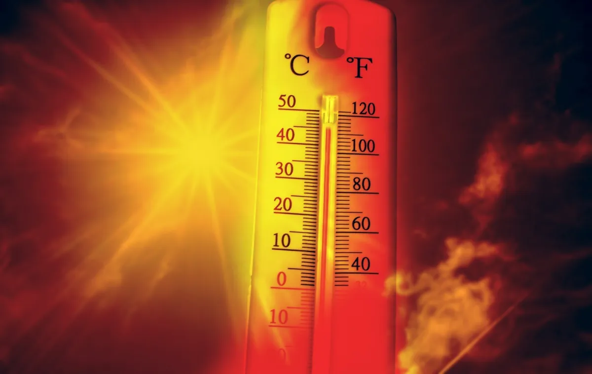 Suhu Mencapai 43ºC di Portugal dan Spanyol, WHO Peringatkan Eropa Akan Hadapi Ancaman Kesehatan