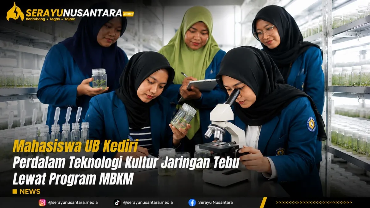 Mahasiswa UB Kediri Kembangkan Keterampilan Kultur Jaringan Tebu Lewat MBKM