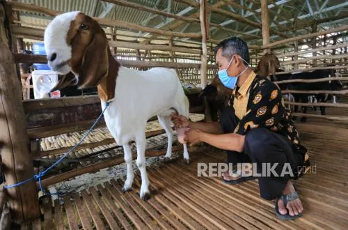Kopontren Dorong Ekonomi Umat Melalui Digitalisasi