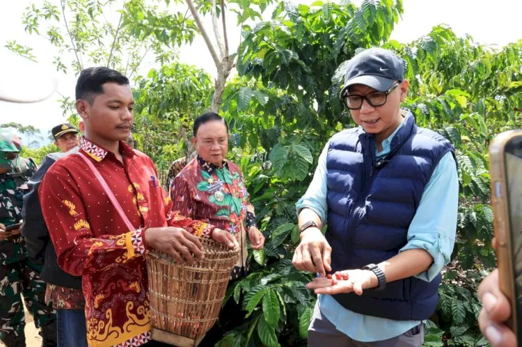 Gubernur Lampung Kenalkan Pupuk Hayati Cair untuk Meningkatkan Produktivitas Kopi
