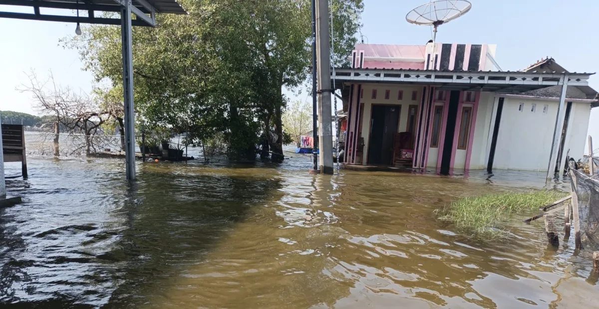 Banjir Rob Kembali Melanda Tunggulsari Pati
