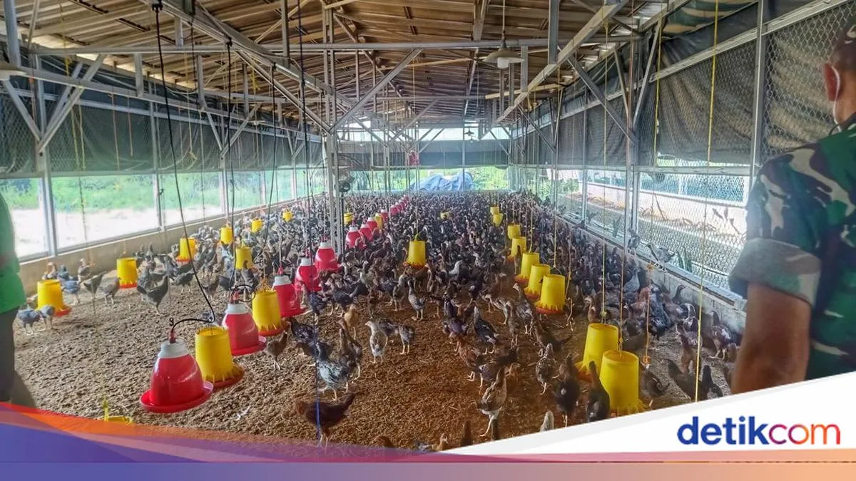 Cikabayam: Upaya Ketahanan Pangan Warga Banjaran
