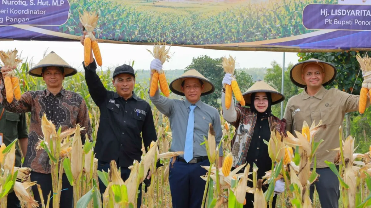 Kolaborasi Pemerintah dan Swasta Dorong Produktivitas Jagung di Ponorogo