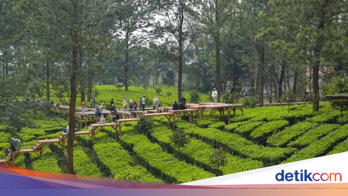 Pemkab Bogor Tingkatkan Fasilitas Rest Area Puncak untuk Kenyamanan Wisatawan