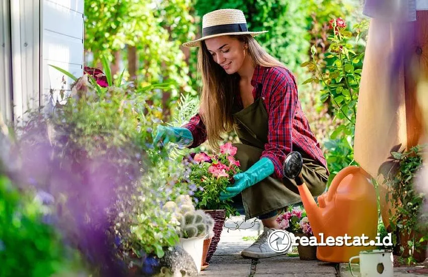 Panduan Urban Gardening: Berkebun di Rumah Meski Lahan Terbatas