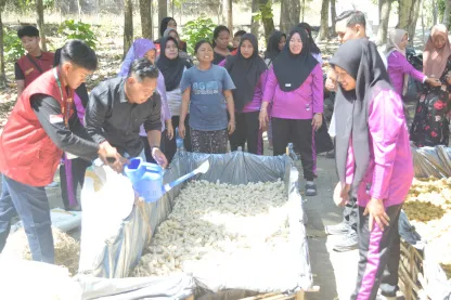 Pelatihan Budidaya Jamur Janggel oleh KKN-TK Universitas Bojonegoro di Desa Bareng