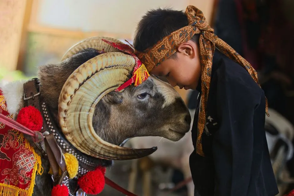 Pengaruh Pergerakan Bintang dan Zodiak Hari Ini