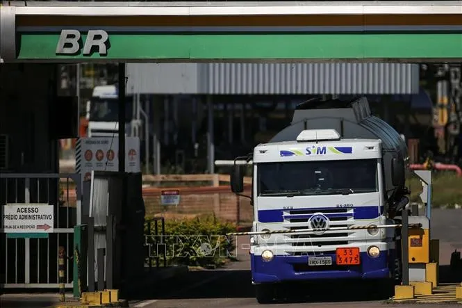 Jepang Dominasi Pasar Obligasi Asia, Sektor Pertanian UE Tetap Stabil di Tengah Krisis