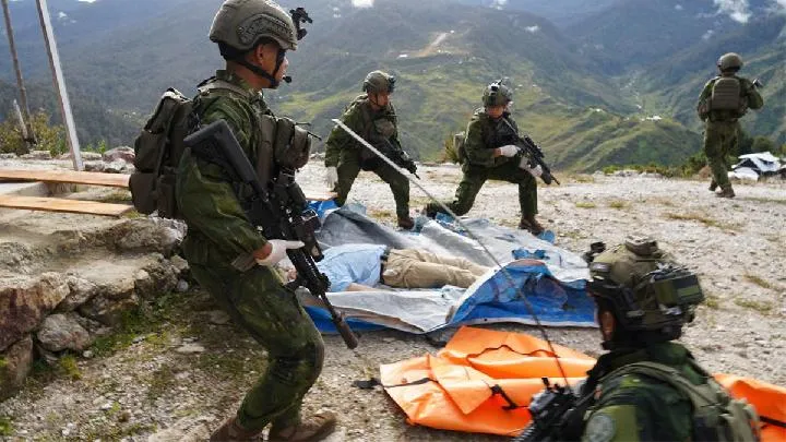 Pilot AS Tewas Ditembak OPM di Papua, Pemerintah Desak Penegakan Hukum