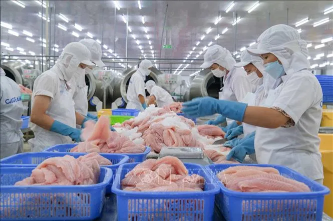 Kementerian Keuangan Tingkatkan Lingkungan Investasi dan Bisnis di Vietnam