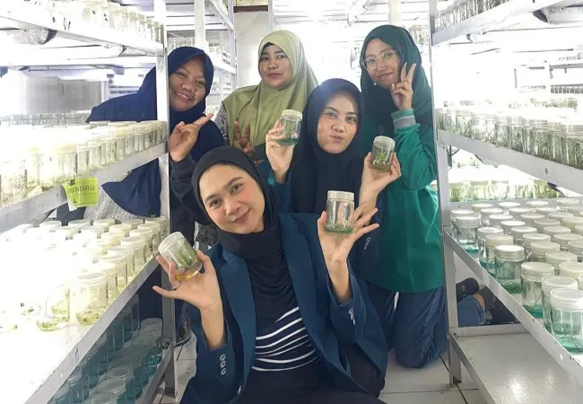 Mahasiswa PSDKU UB Kediri Kembangkan Keterampilan Melalui Program MBKM di PT PG Rajawali I